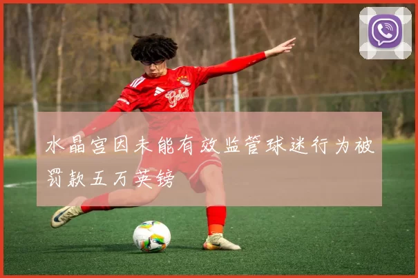 水晶宫因未能有效监管球迷行为被罚款五万英镑